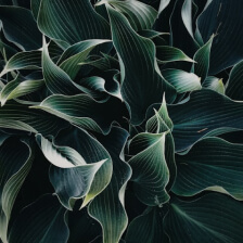 social-feed-img-02 Social Feed Img 02