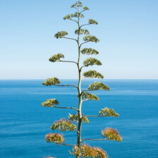 social-feed-img-03 Social Feed Img 03